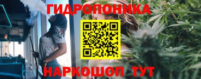 бошки Малгобек