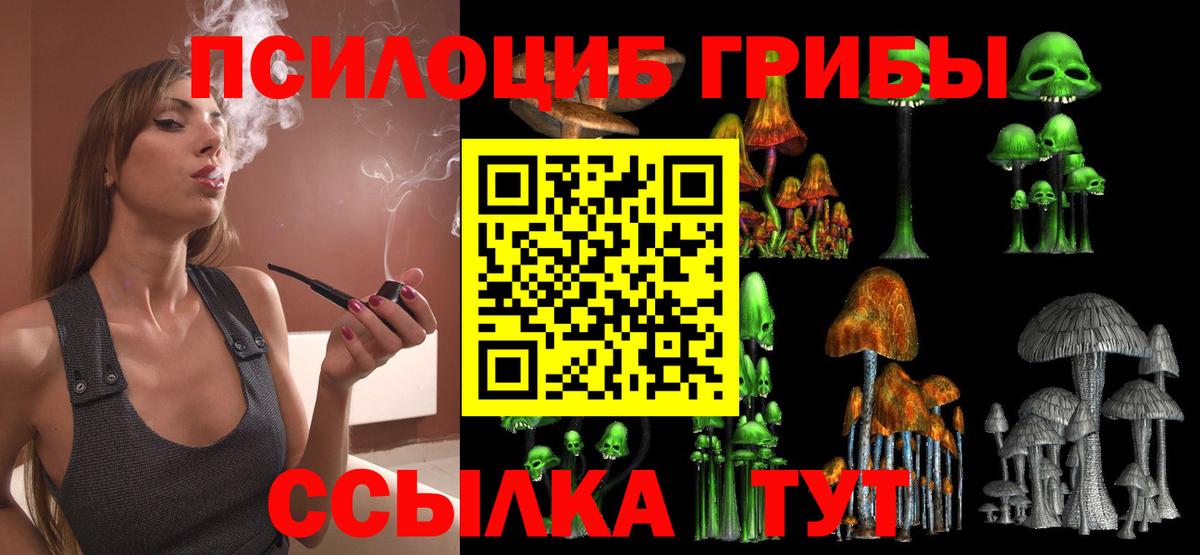 Верхний Уфалей  закладка  Вход с VPN  Галлюциногенные грибы Cubensis 